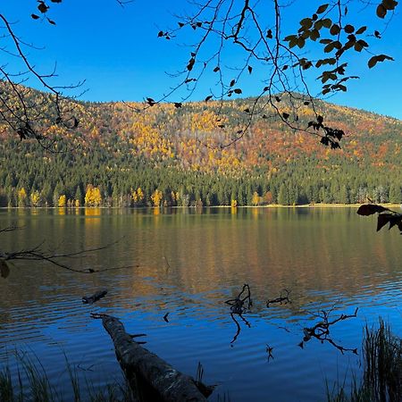 Pensiunea Iris Baile Tusnad Bagian luar foto